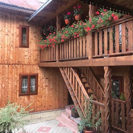 Pensiunea Agroturistica Casa Colinita Vatra Moldoviţei 외부 사진