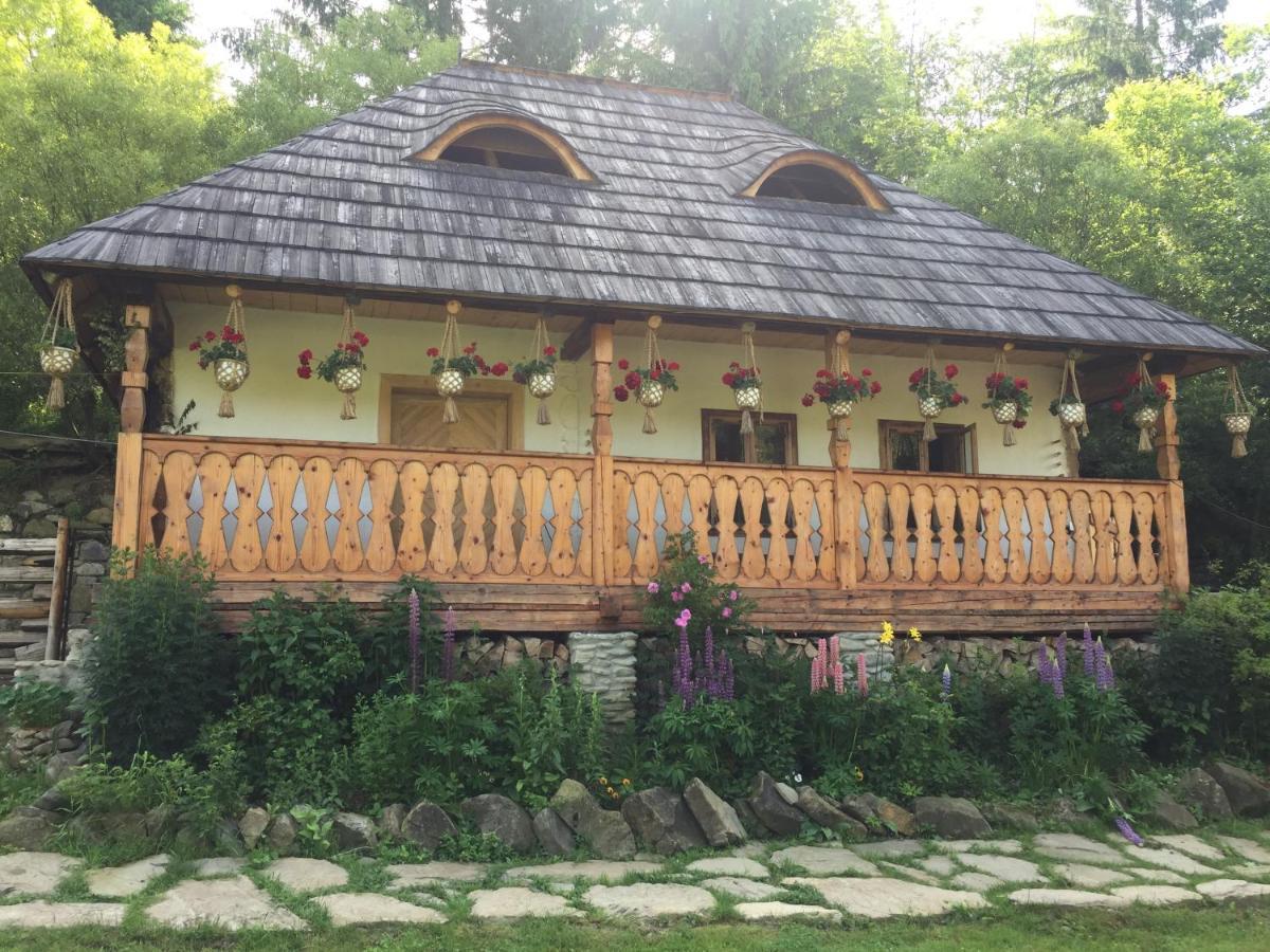 Pensiunea Agroturistica Casa Colinita Vatra Moldoviţei 외부 사진