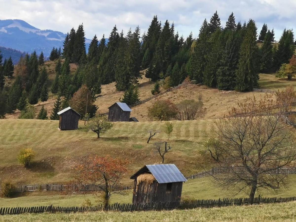 Pensiunea Agroturistica Casa Colinita Vatra Moldoviţei 외부 사진