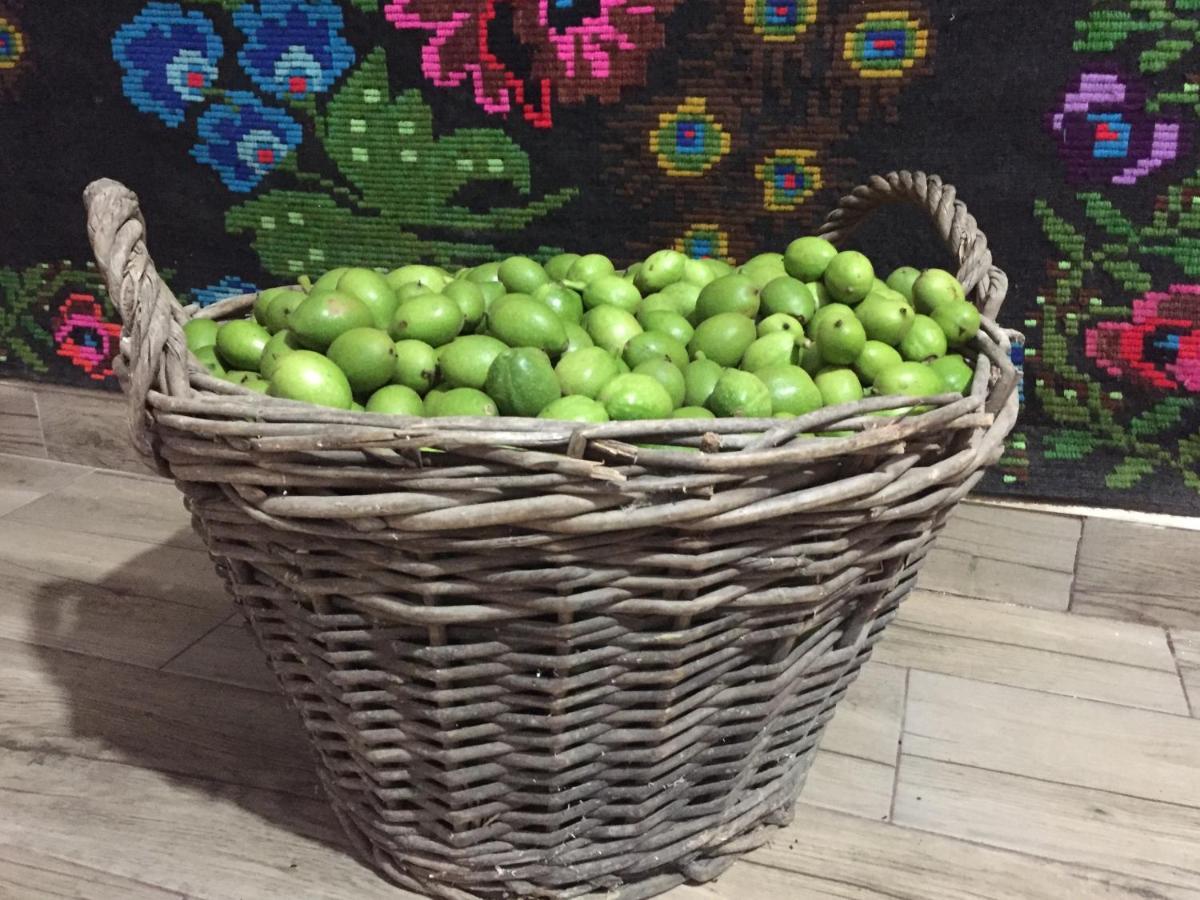Pensiunea Agroturistica Casa Colinita Vatra Moldoviţei 외부 사진