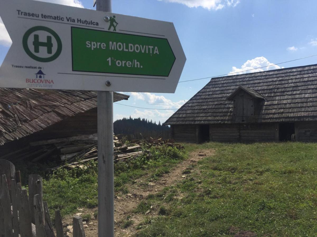 Pensiunea Agroturistica Casa Colinita Vatra Moldoviţei 외부 사진