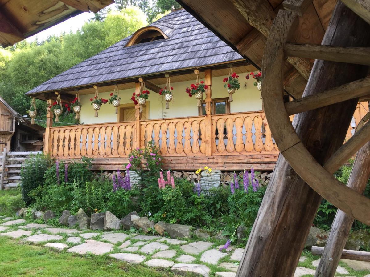 Pensiunea Agroturistica Casa Colinita Vatra Moldoviţei 외부 사진