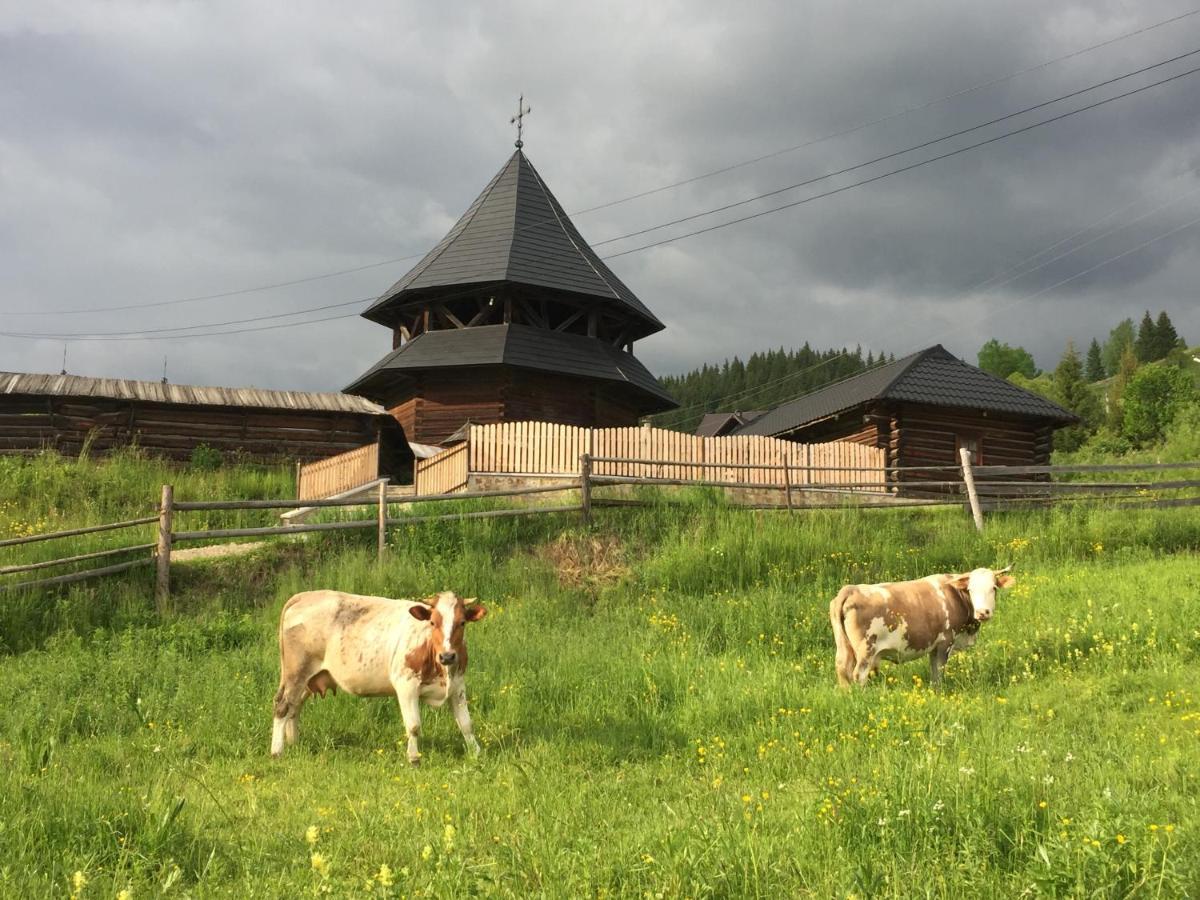 Pensiunea Agroturistica Casa Colinita Vatra Moldoviţei 외부 사진