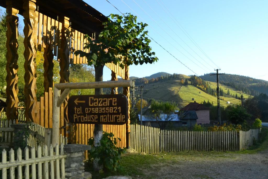 Pensiunea Agroturistica Casa Colinita Vatra Moldoviţei 외부 사진