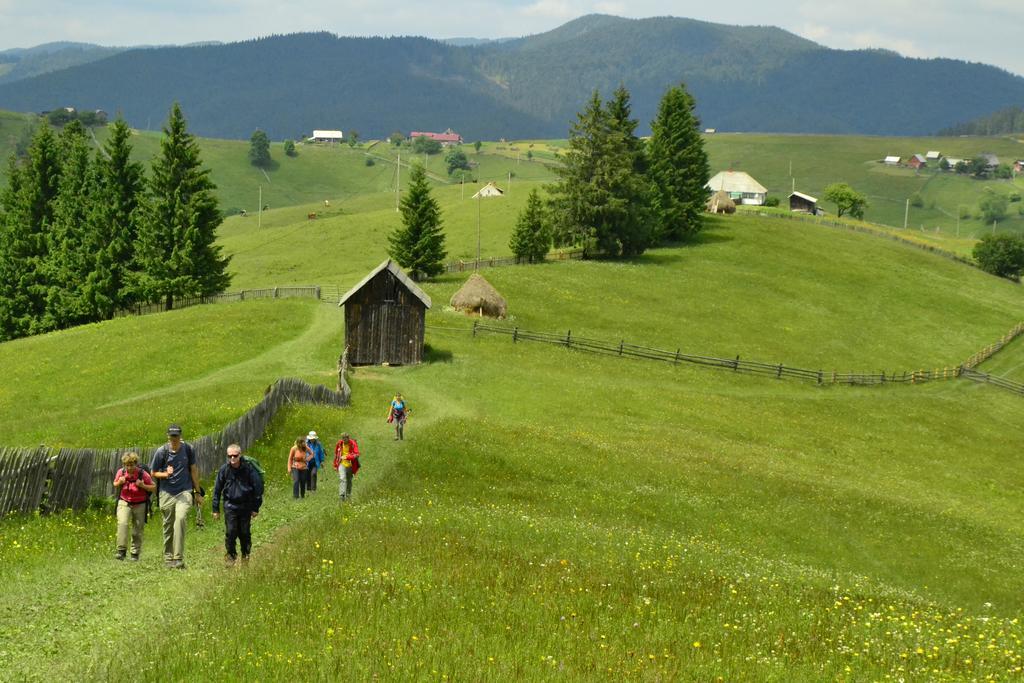 Pensiunea Agroturistica Casa Colinita Vatra Moldoviţei 외부 사진