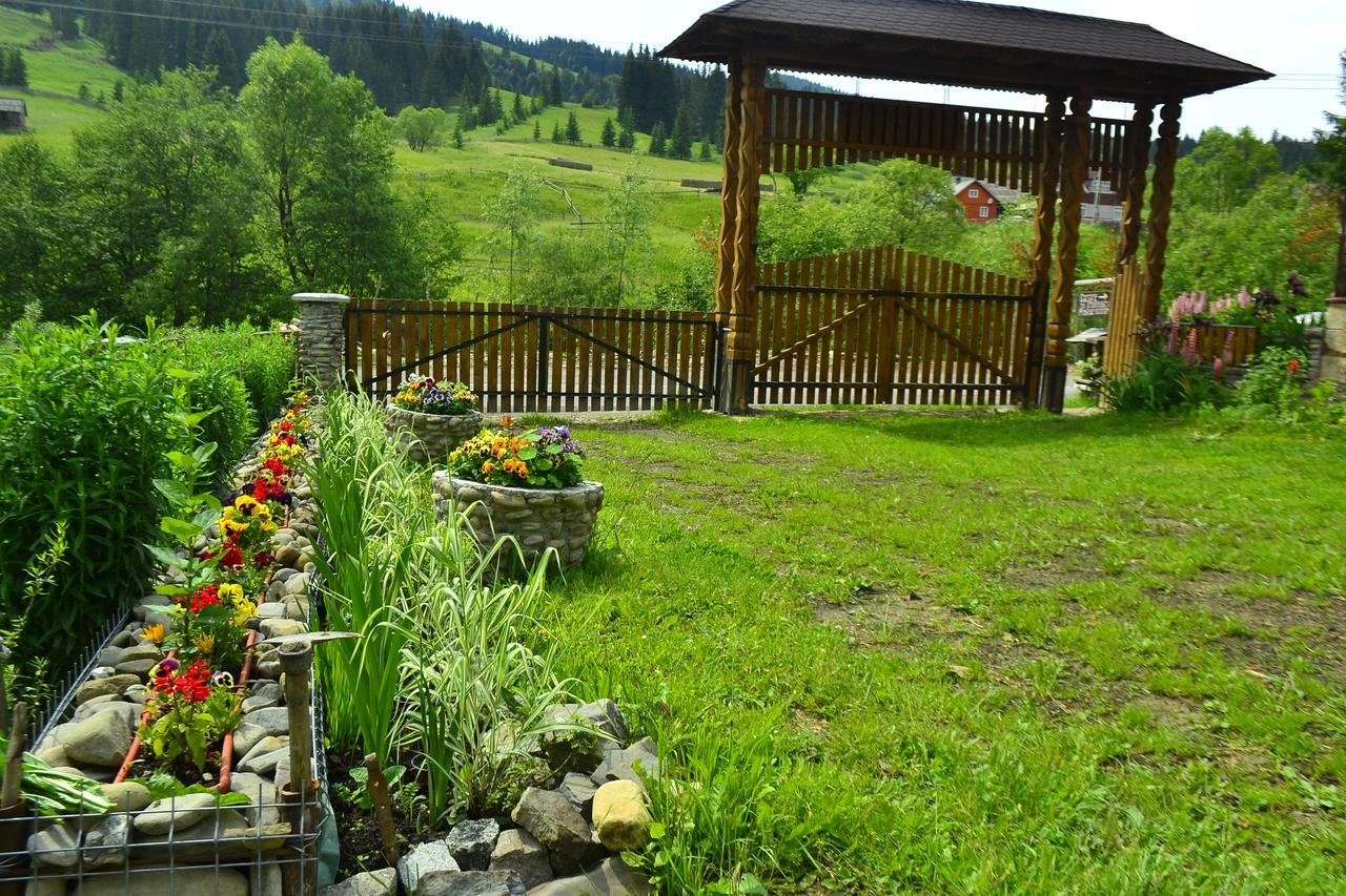 Pensiunea Agroturistica Casa Colinita Vatra Moldoviţei 외부 사진
